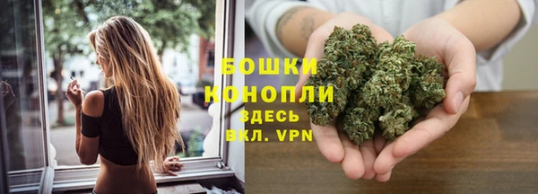 PSILOCYBIN Арсеньев