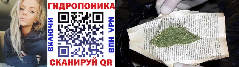 Канабис ГИДРОПОН  Купить закладки  Искитим 